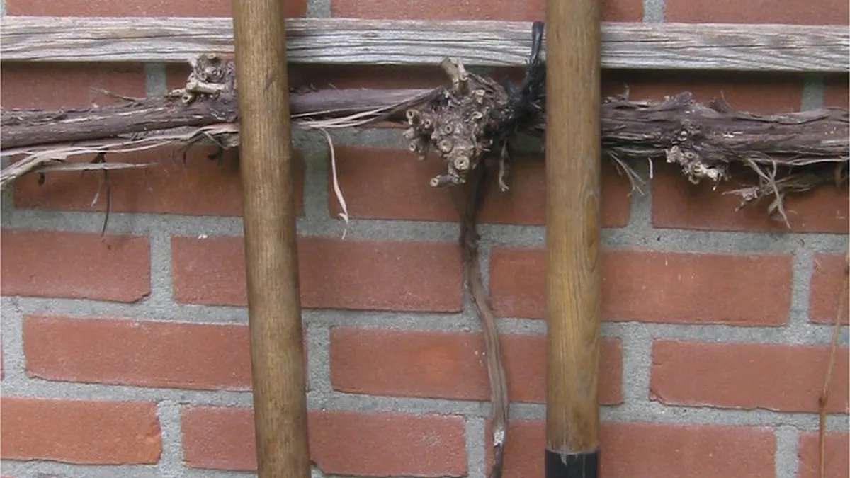 Border Spade